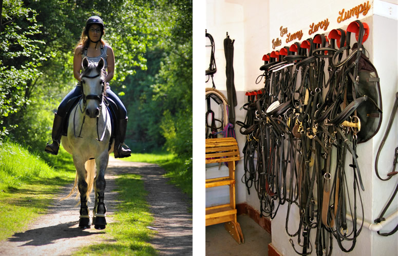 liverycollageexercise