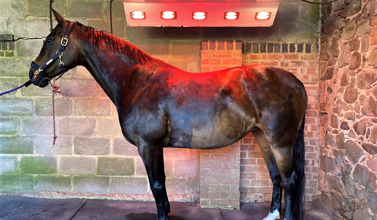 solarium